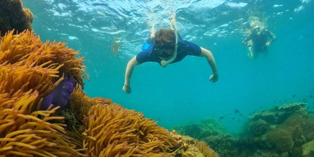 Professional divers exploring vibrant coral reefs in clear waters during a guided underwater adventure.