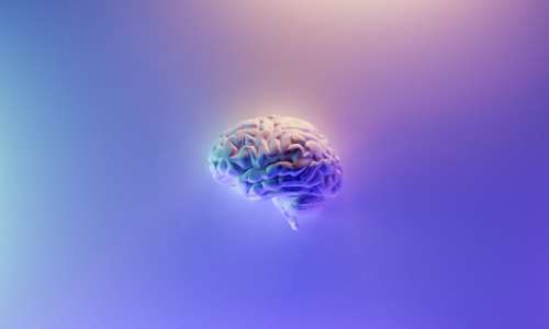 train your memory