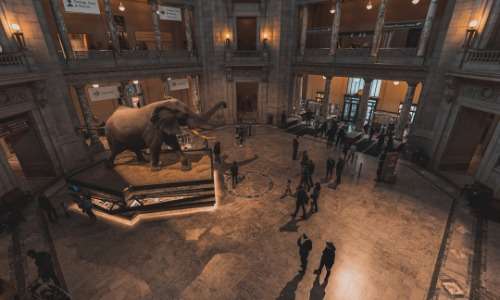 The most quirky museums in South Africa