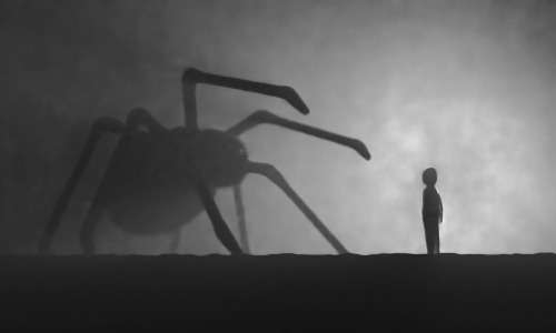 Strange phobias you probably didn’t know existed