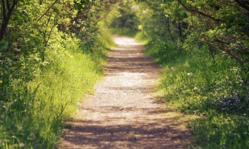 Secret Trails in Popular Parks in
